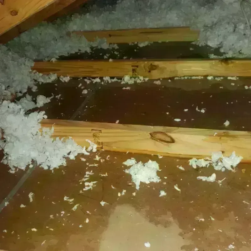 Attic Water Damage in Wood River, IL