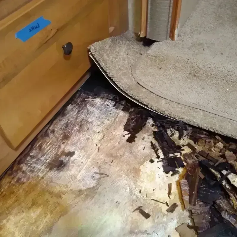 Wood Floor Water Damage in Wood River, IL